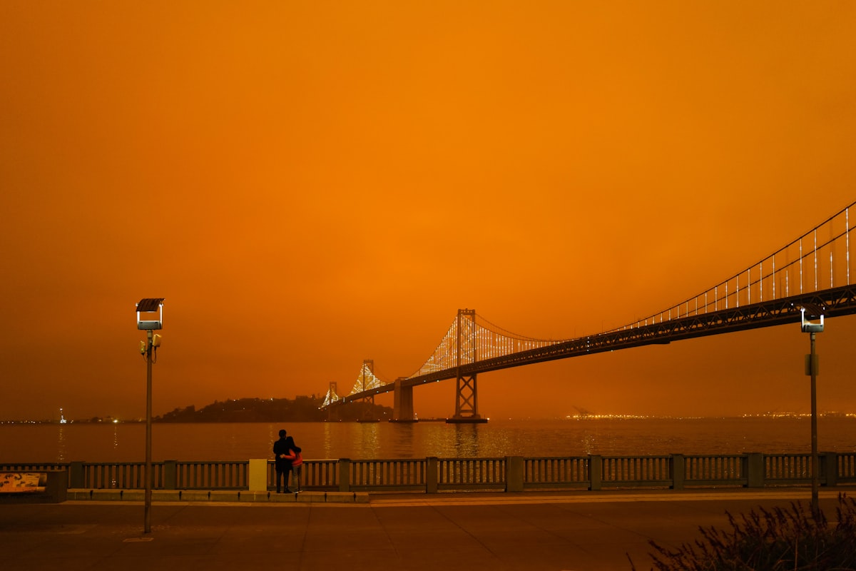 wildfire ash damage on car paint bay area