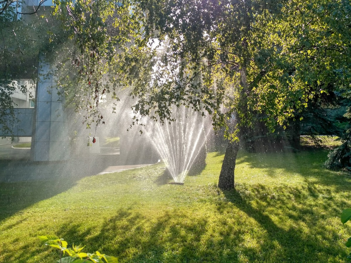 sprinkler water spots willow glen cambrian park san jose